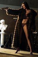 デミ・ムーアへ出演依頼が殺到。「チャリエン」効果？