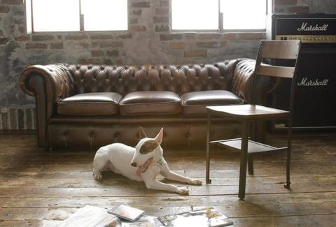 「BECK」最新映像が満を持してお披露目