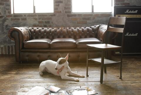 「BECK」最新映像が満を持してお披露目