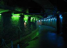 会場は海の底。史上最深試写会でギネスに申請