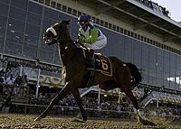 シービスケットを超えるスターホース