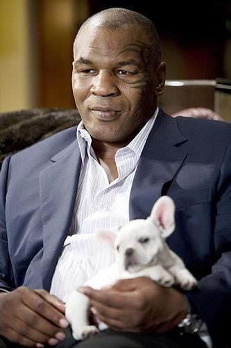 第2の人生は節約第一