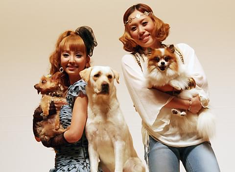 神田うの、愛犬ロケットに「独身時代は守ってもらった」