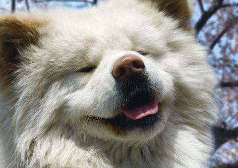 完成を待っていてね