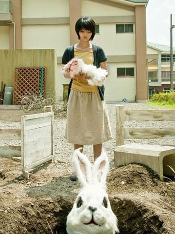 満島ひかり＆香川照之、「ラビット・ホラー3D」でダブル主演