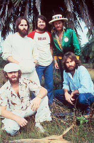 ビーチ・ボーイズの音楽がミュージカル映画に