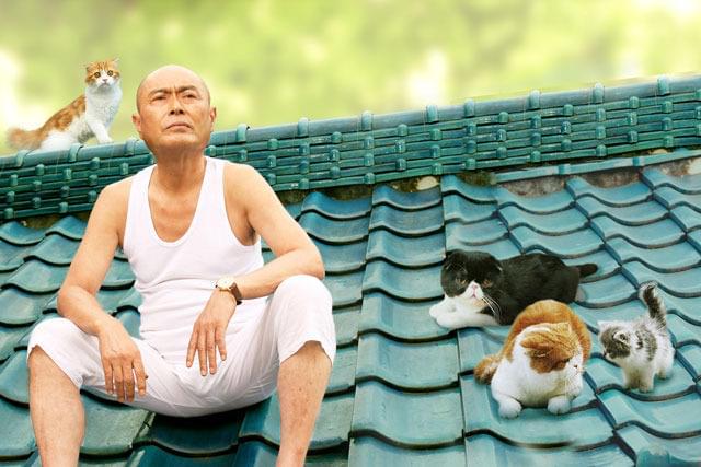 かわいいネコたちがいっぱい