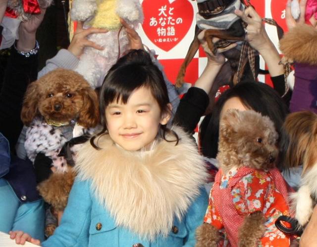 人気子役・芦田愛菜、38匹の犬に囲まれご満悦