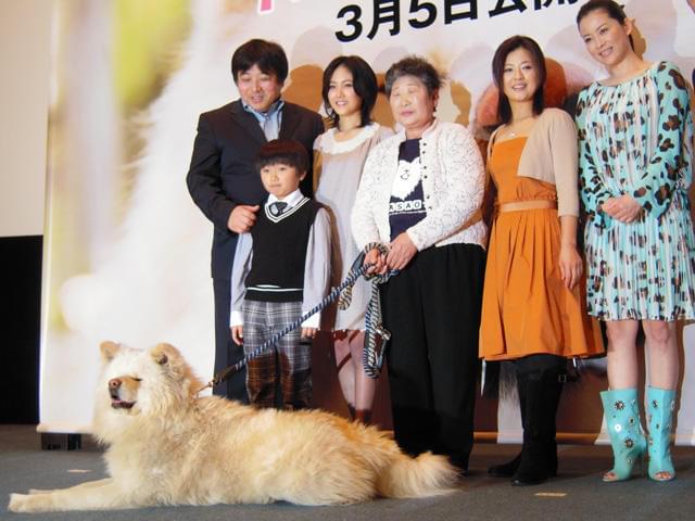 わさお、東京の暑さにバテバテ＆大あくび