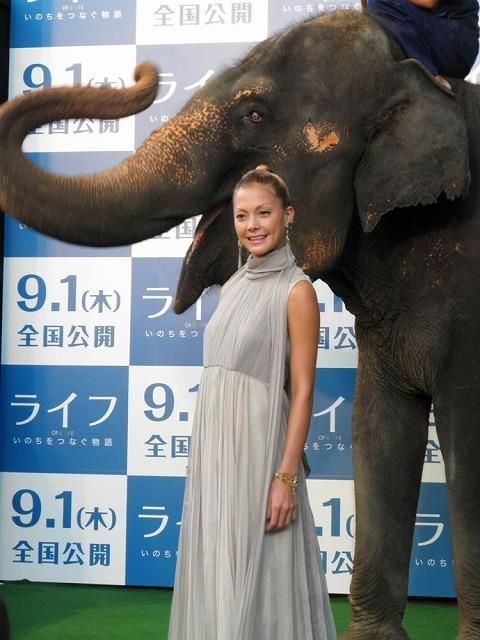 ゾウのランディくんと一緒に歩いて大興奮の土屋アンナ