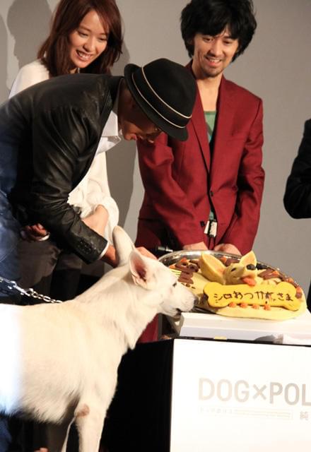 市原隼人＆カンニング竹山、“ドッグケーキ”食べ「味が薄い！」