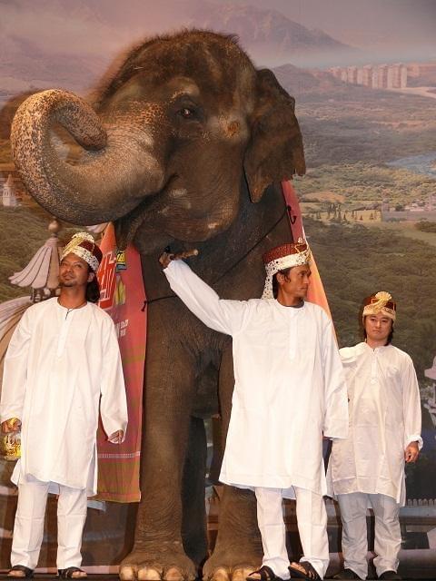 大野智“怪物くん”ゾウに乗って登場、ファン1700人大歓声