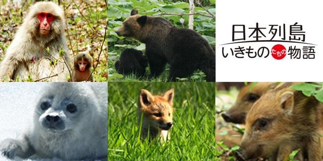 嵐・相葉がナビゲーター「日本列島」がイラストコンテスト実施