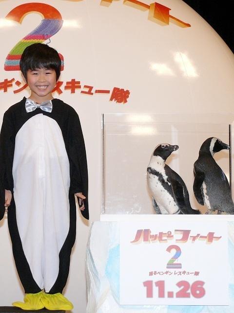 鈴木福「とってもかわいい」 本物のペンギンに笑顔