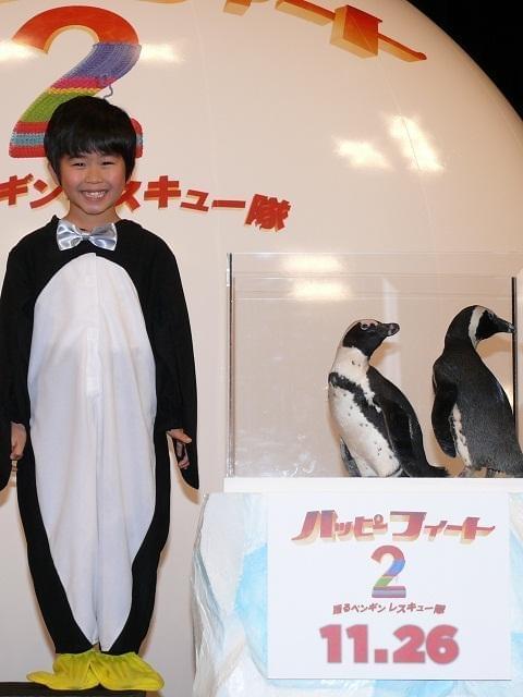 鈴木福「とってもかわいい」 本物のペンギンに笑顔
