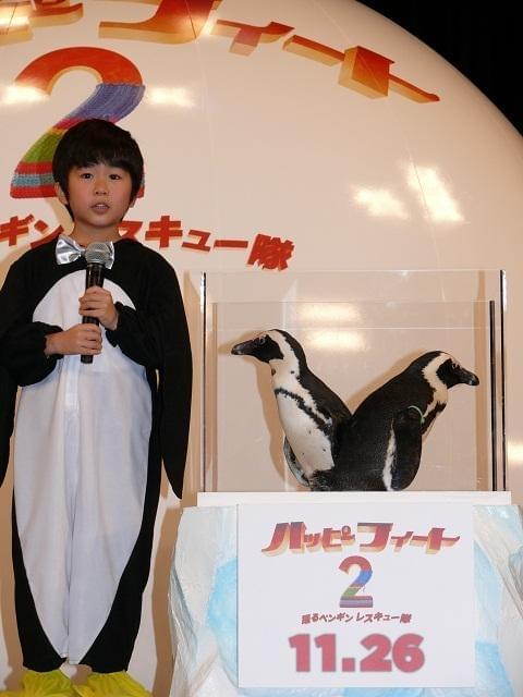 鈴木福「とってもかわいい」 本物のペンギンに笑顔