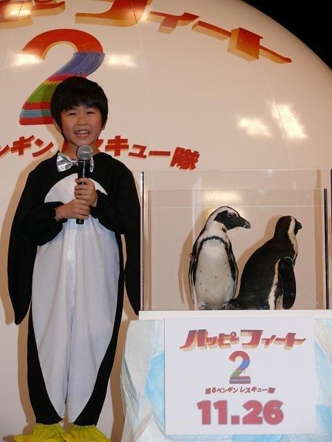 鈴木福「とってもかわいい」 本物のペンギンに笑顔