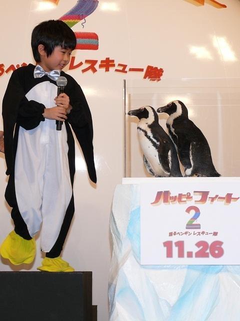 鈴木福「とってもかわいい」 本物のペンギンに笑顔