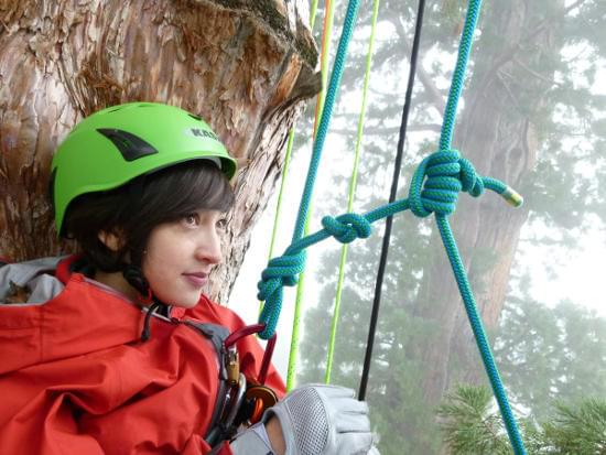 約80メートルの木登りに挑戦した滝川クリステル