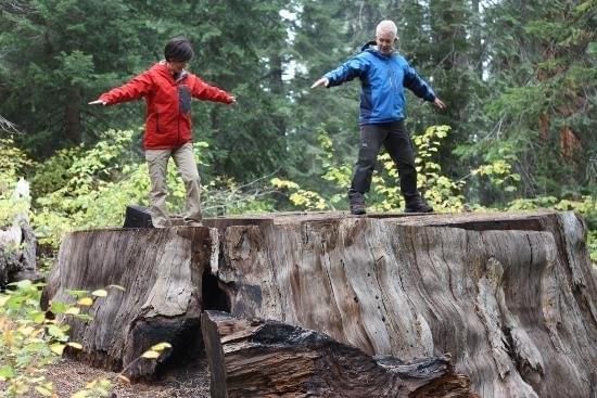 滝川クリステルが体当たりで新境地！ 芸人顔負け80メートル木登り