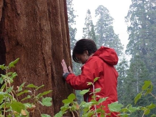 滝川クリステルが体当たりで新境地！ 芸人顔負け80メートル木登り