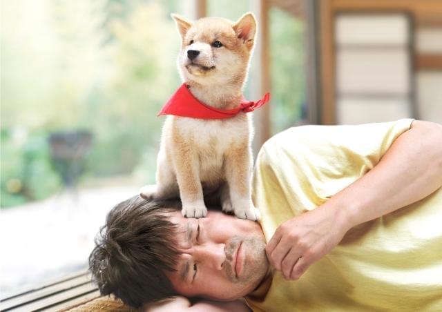 アラフォーニートがついに自立？ 「マメシバ一郎3D」予告独占入手