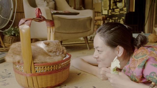 「レンタネコ」主演の市川実日子