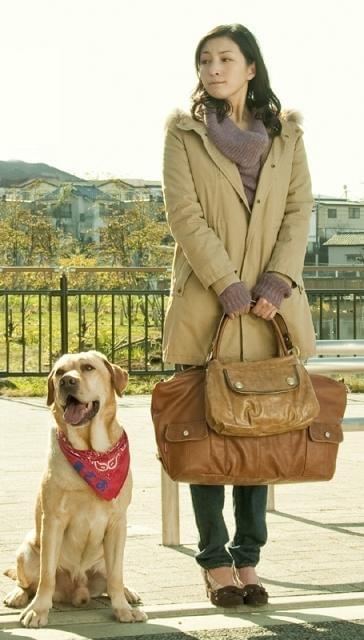 広末涼子、香取慎吾の恋人演じた映画版“まさお君”場面写真公開