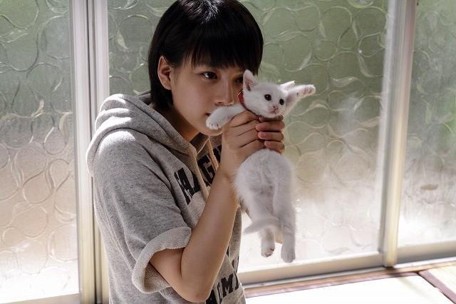 阿部寛主演「カラスの親指」公開日決定 ボブヘアの石原さとみにも注目！