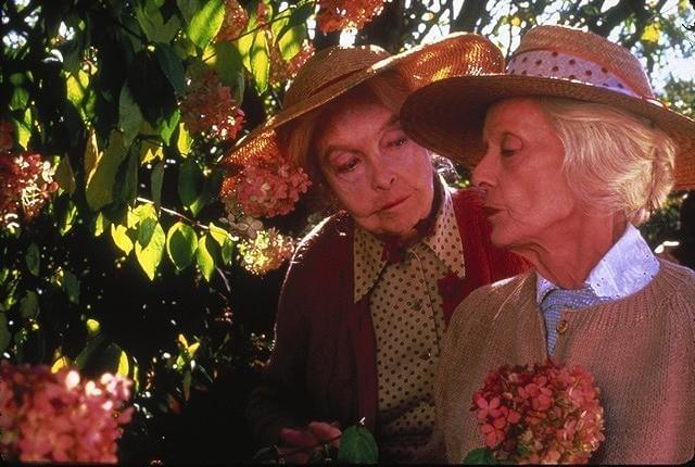 岩波ホール45周年記念、名作「八月の鯨」をニュープリントで再上映