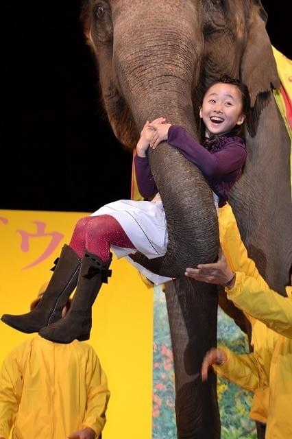 宮崎あおい、本田望結ちゃんら、本物のゾウに大興奮「すごい！ ヤバイ！」