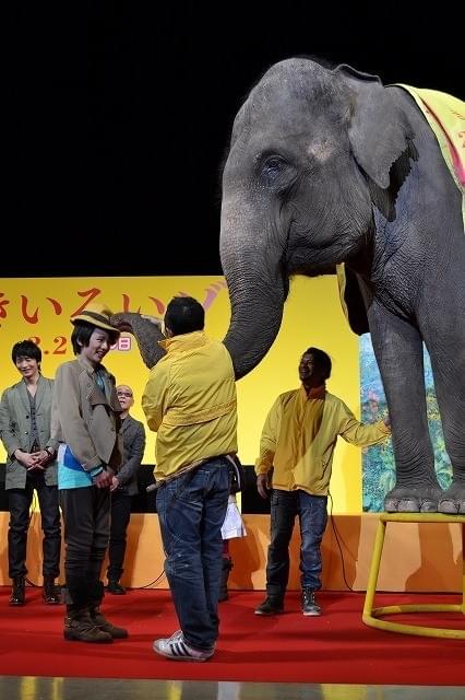 宮崎あおい、本田望結ちゃんら、本物のゾウに大興奮「すごい！ ヤバイ！」