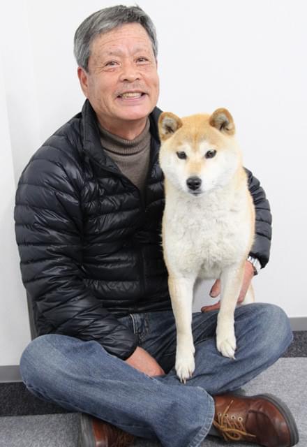 「ひまわりと子犬の7日間」に出演の柴犬イチ、編集部でリラックス