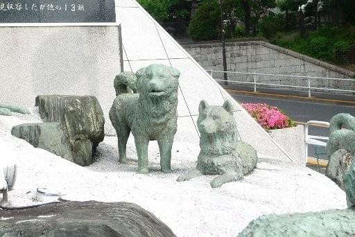 映画「南極物語」30周年、タロ・ジロ像がフジテレビの下へ