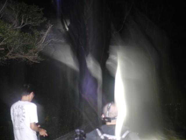 写真に写り込んだ光の正体とは……