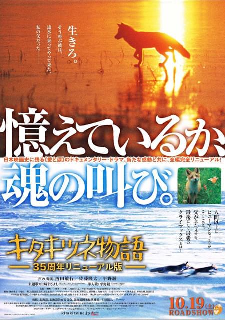 「キタキツネ物語」35周年リニューアル版、公開へ
