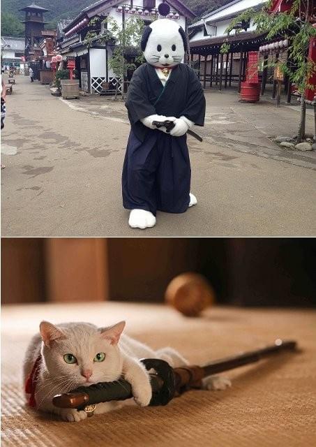 ニャンまげが「猫侍」宣伝部長に