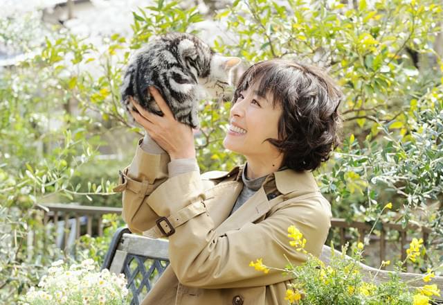 宮沢りえ、ドラマ版「グーグーだって猫である」主演！犬童監督が再びメガホン