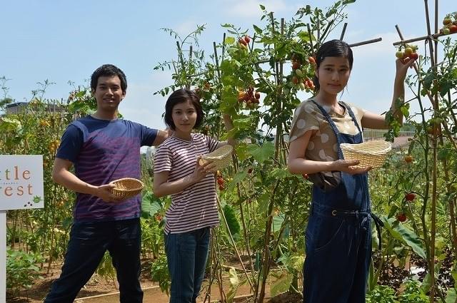 橋本愛が“虫”に悲鳴！ 「リトル・フォレスト農園」が柏の葉に開園