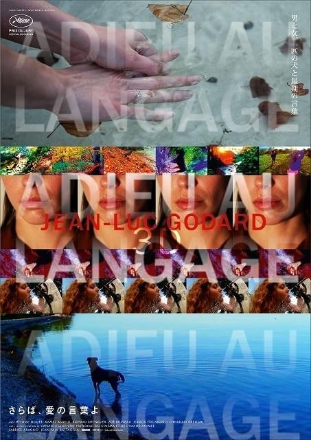 「さらば、愛の言葉よ」日本版メインビジュアル