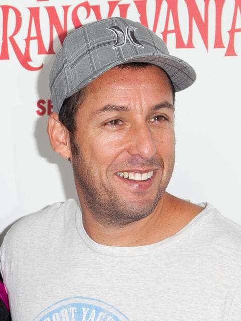 ギャラもらいすぎ俳優ランキング、2年連続1位にA・サンドラー 2位にジョニデ