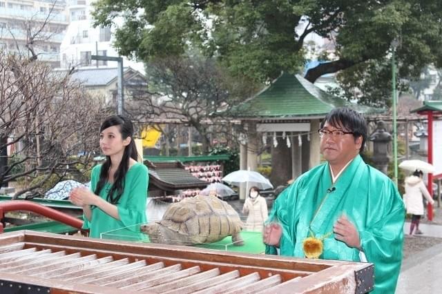 ベッキー、「ミュータント・タートルズ」は「ストーリーが素晴らしい」