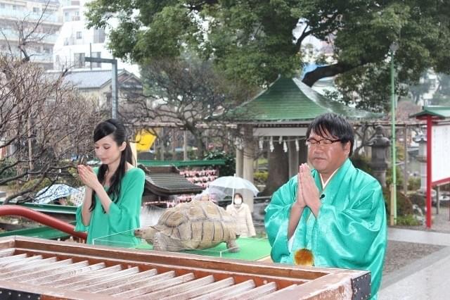 ベッキー、「ミュータント・タートルズ」は「ストーリーが素晴らしい」