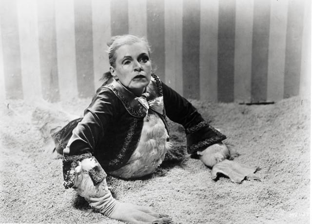 米サイト選出「史上最高のミッドナイトムービー50本」