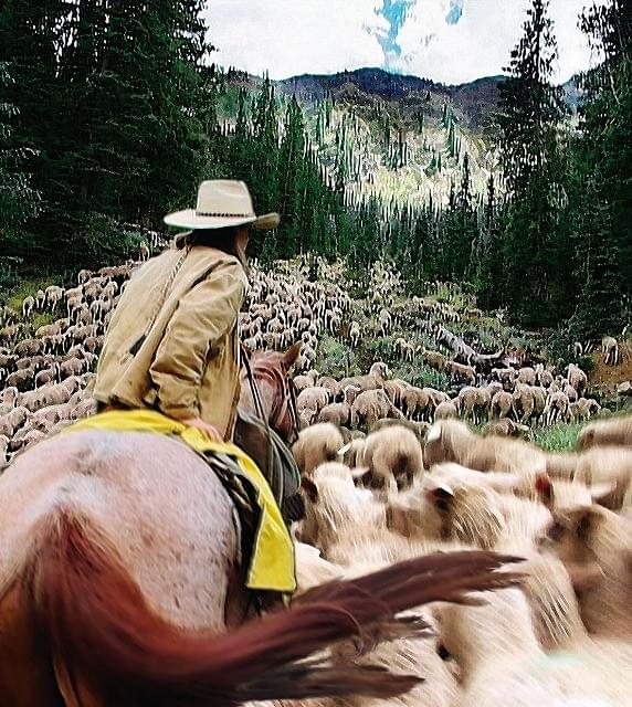 ハーバード大感覚民族誌学ラボによる映像作品を4作上映「ハント・ザ・ワールド」予告編