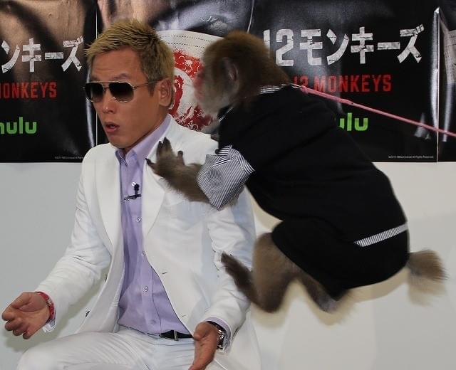 じゅんいちダビッドソン、サルに完敗！ 跳び蹴りで時計壊れる