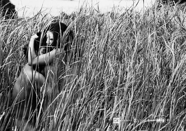 日活ロマンポルノのリブート企画発足！2016年に新作の劇場公開を目指す