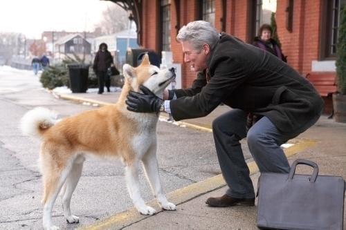 米サイト選出「犬に関する傑作映画15本」