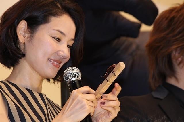 DAIGO＆吉田羊、哀川翔が育てたカブトムシに逃げられる！