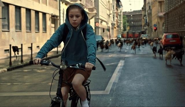 CGなしで犬250匹が名演技「ホワイト・ゴッド」メイキング映像公開